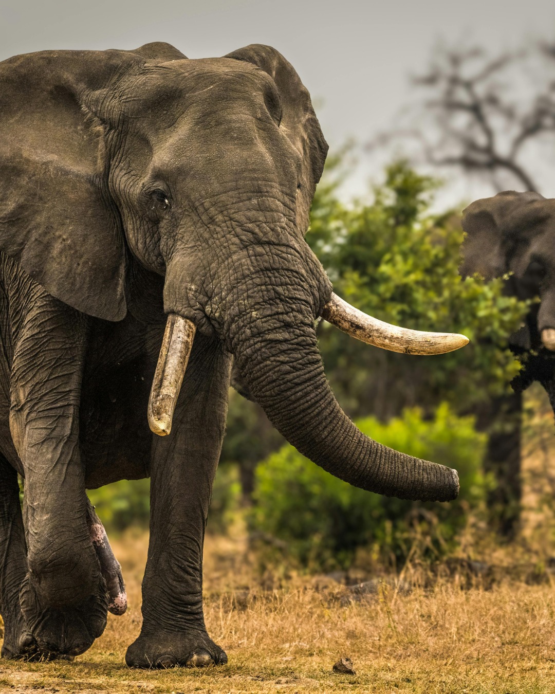 Africa12