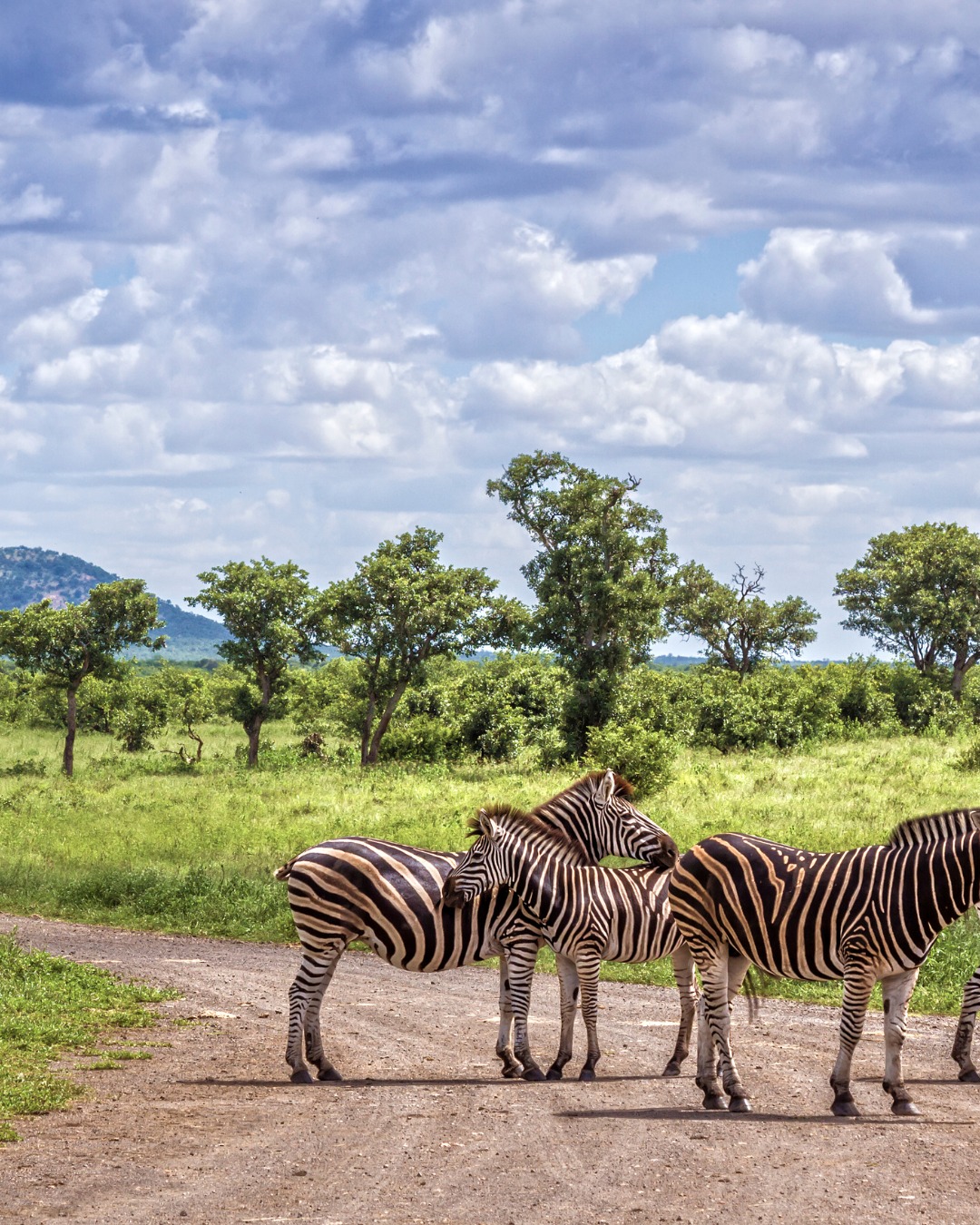 Africa6