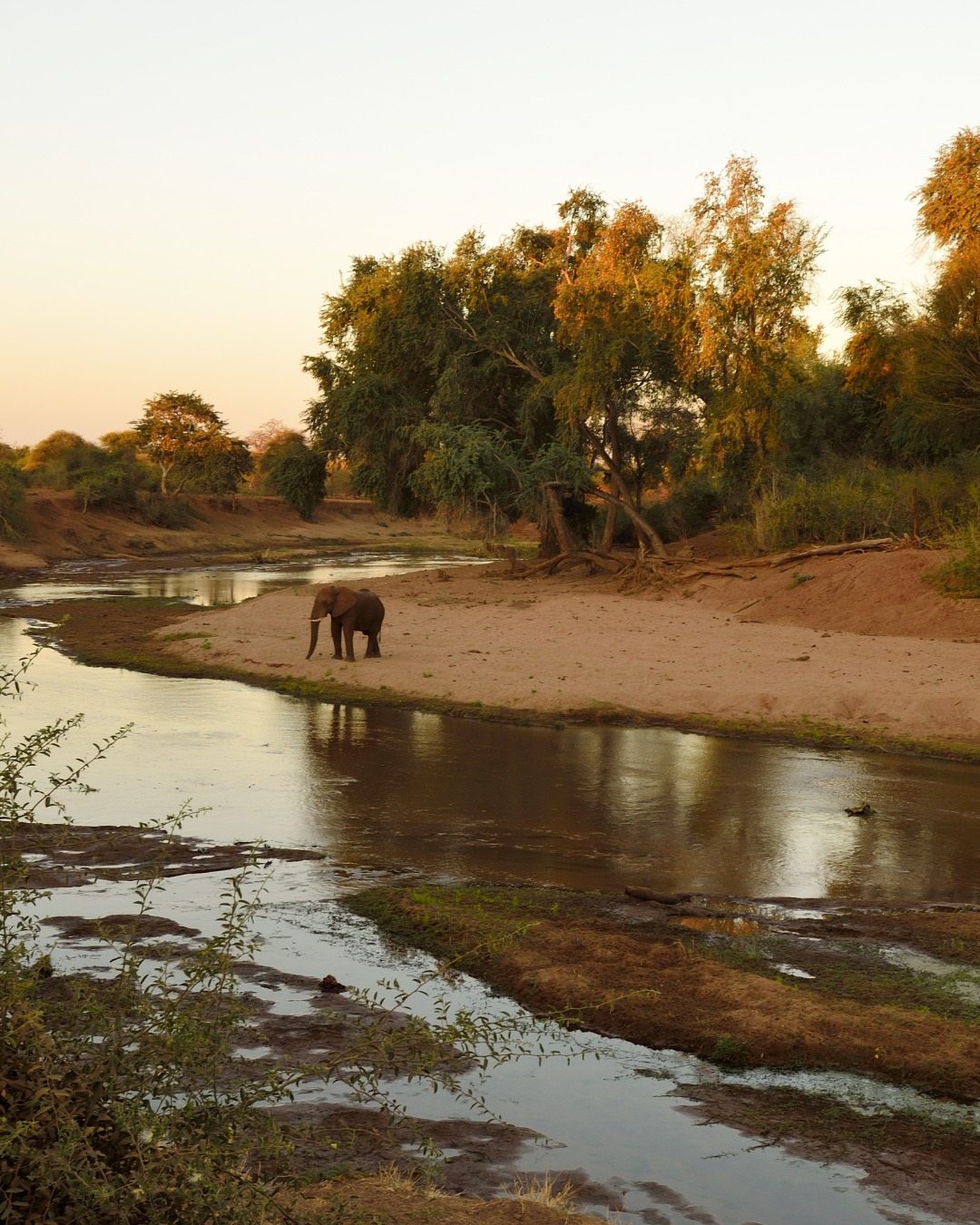 Africa7