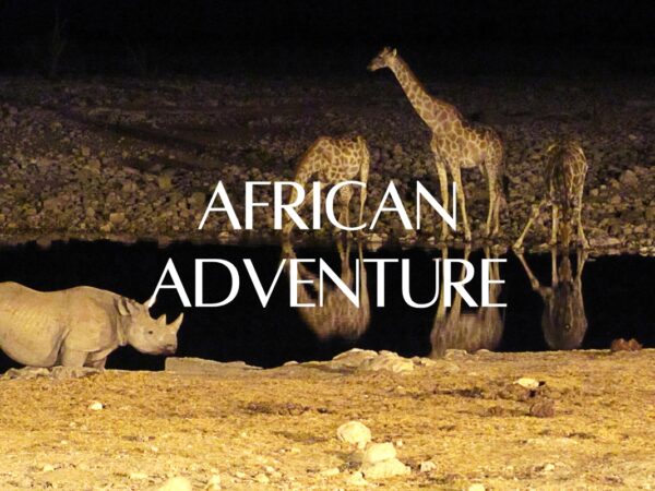 African Adventure