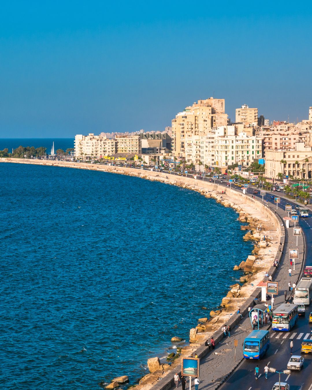 Alexandria1