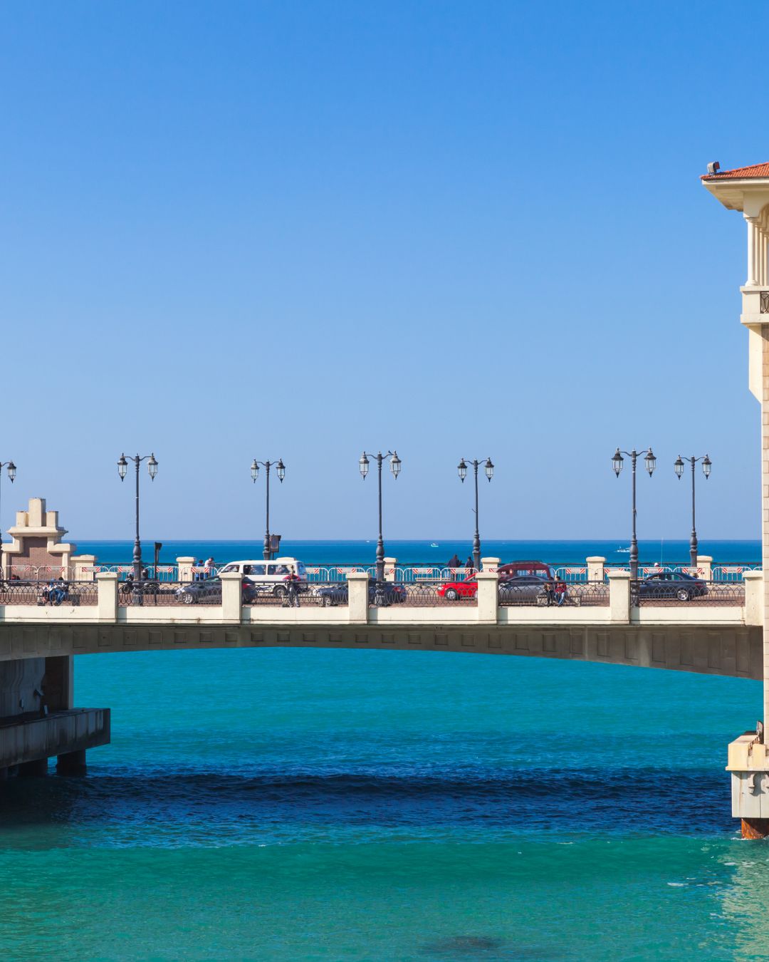 Alexandria2