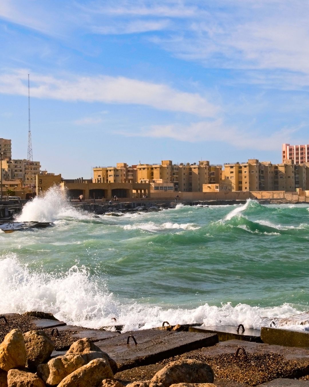Alexandria4