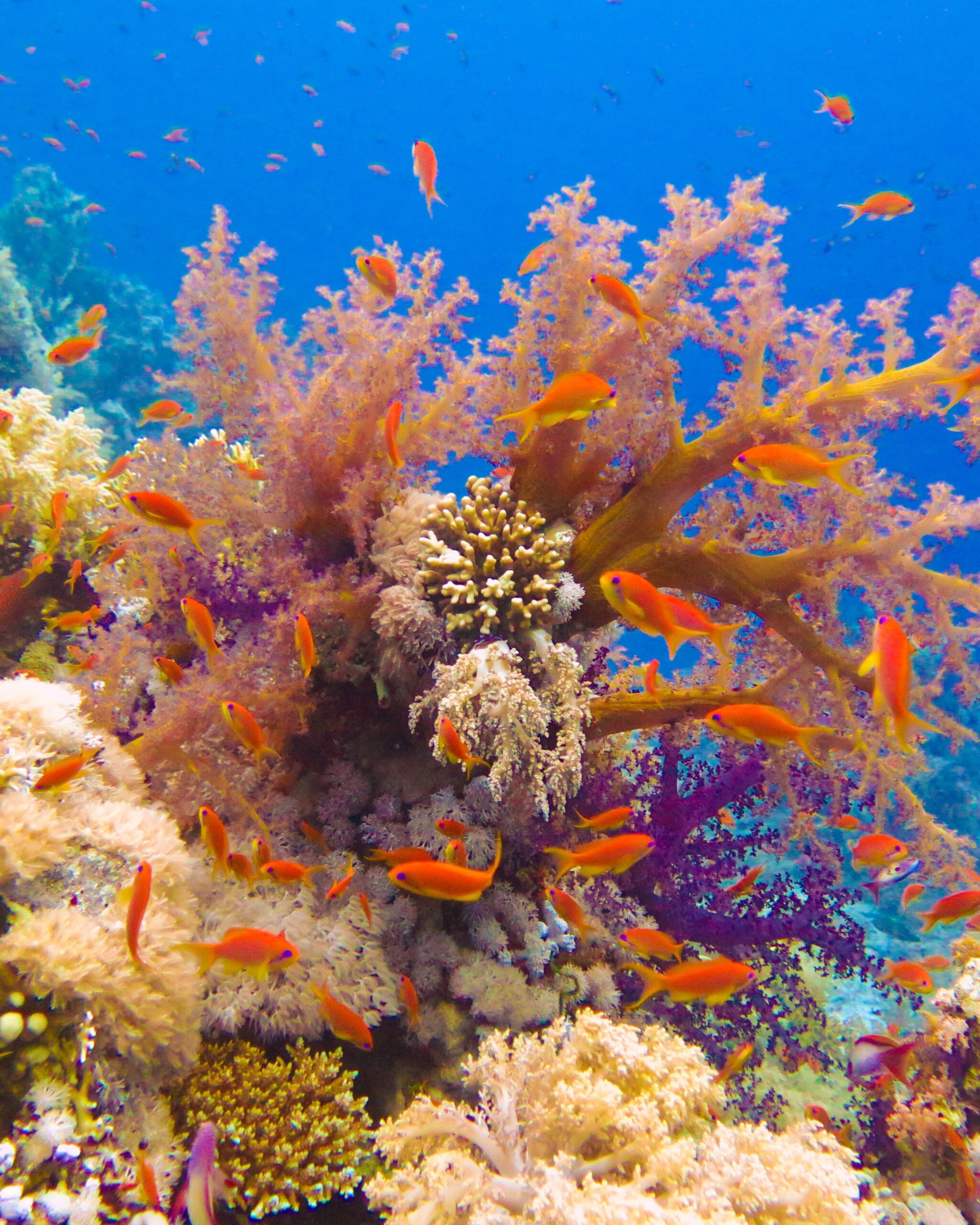 Hurghada3