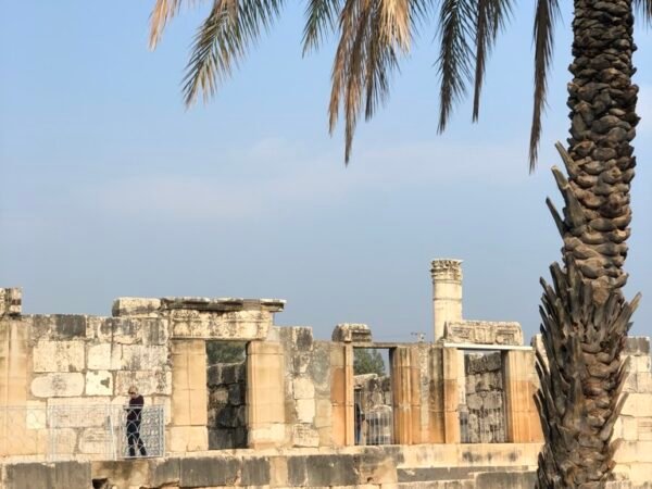 Holy Land 2027